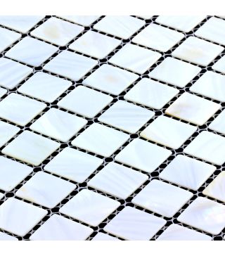 Mosaic Tile Acta White Shell 30x30 cm