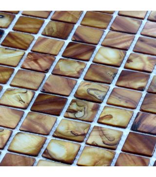 Mosaic Tile Acta Brown Shell 30x30 cm